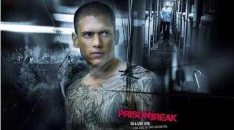 越狱第5季在线观看,逃亡之路再启